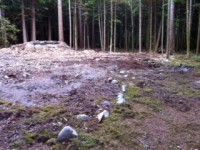 /album/fotogaleria/photo-14-jpg/